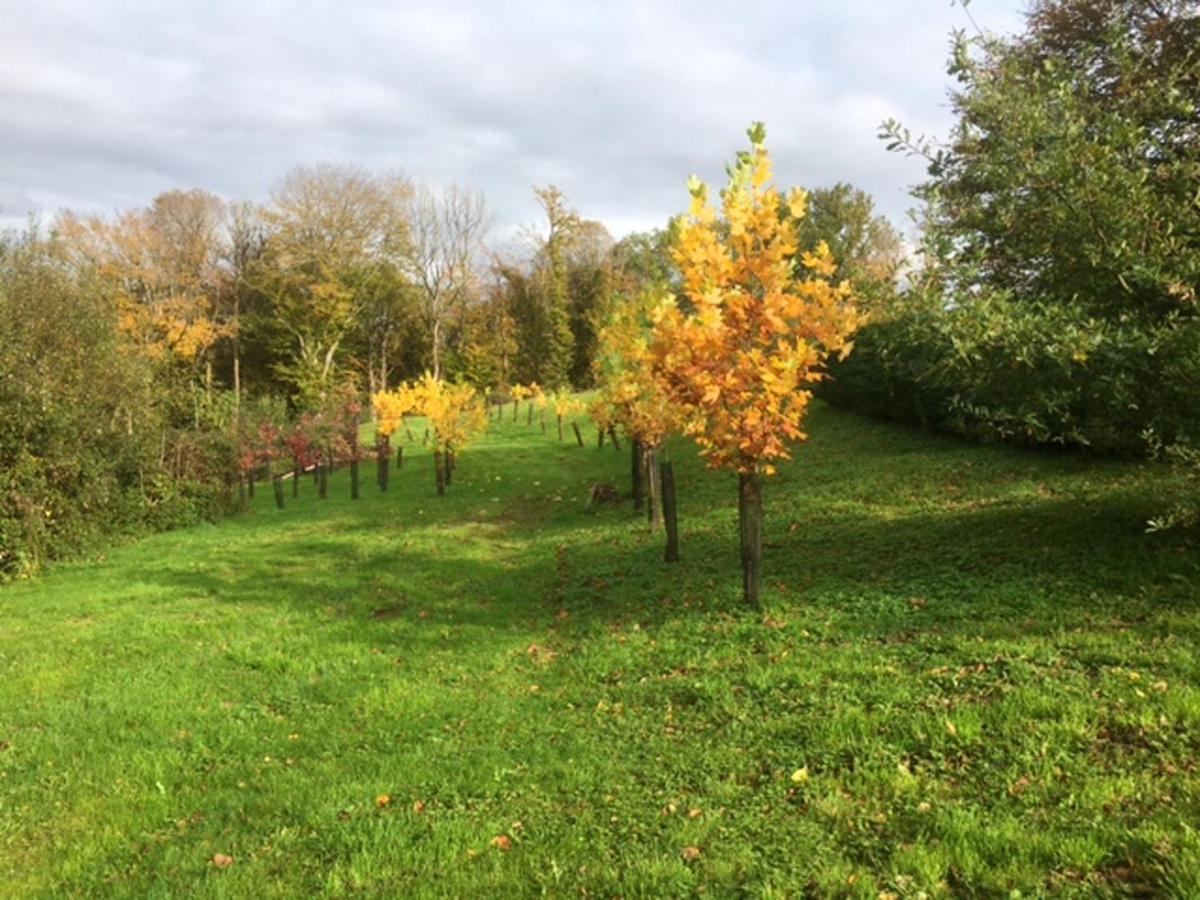 Appartement Charmant Orgnac-Sur-Vezere Avec Jardin Et Parking Exterior foto